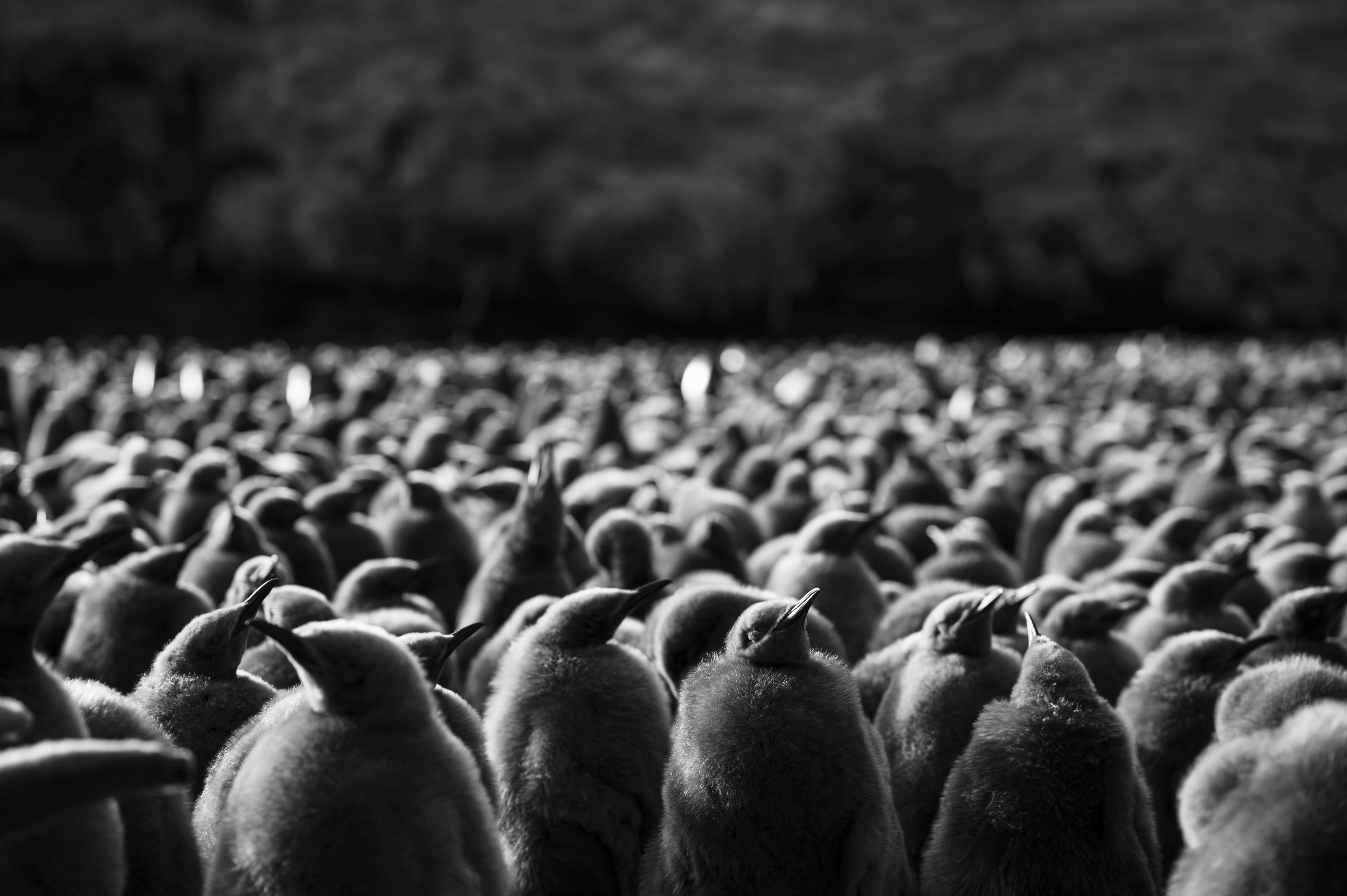 GYT 20220701 134555  DSC6264